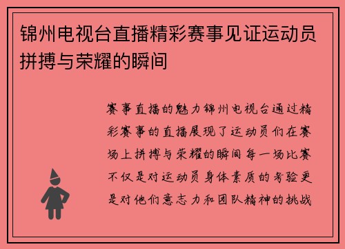 锦州电视台直播精彩赛事见证运动员拼搏与荣耀的瞬间